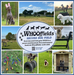Whooffields