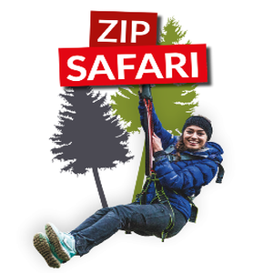 Zip World Penrhyn Fforest